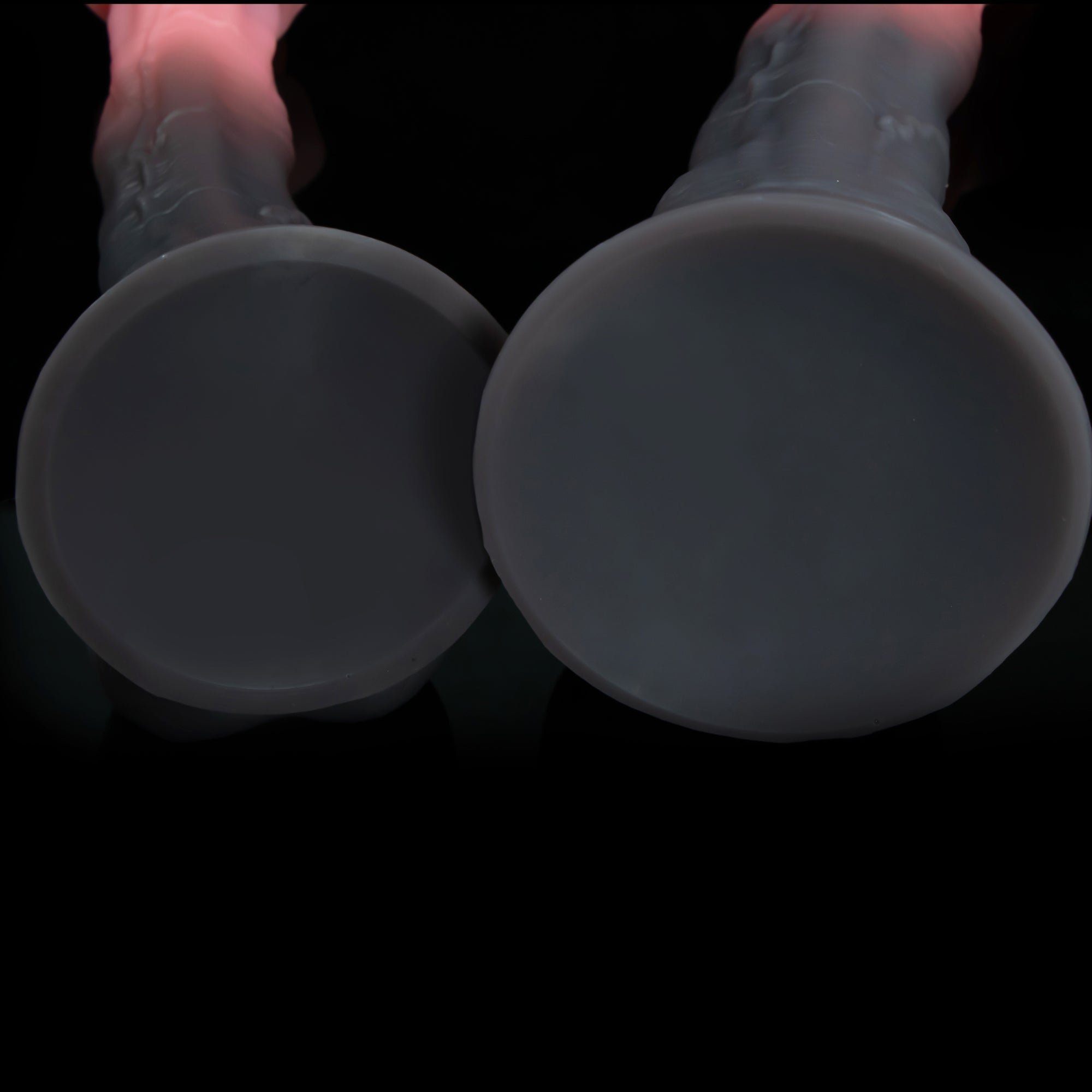Underside view of Bellmantle's gray circular suction-cup bases